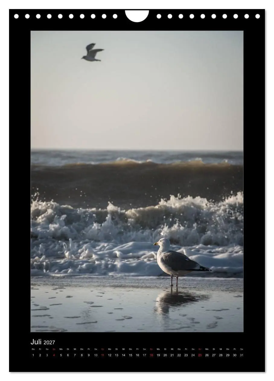 Bild: 9783594137604 | Geheimnisvolles Sylt 2027 (Wandkalender 2027 DIN A4 hoch), CALVENDO...