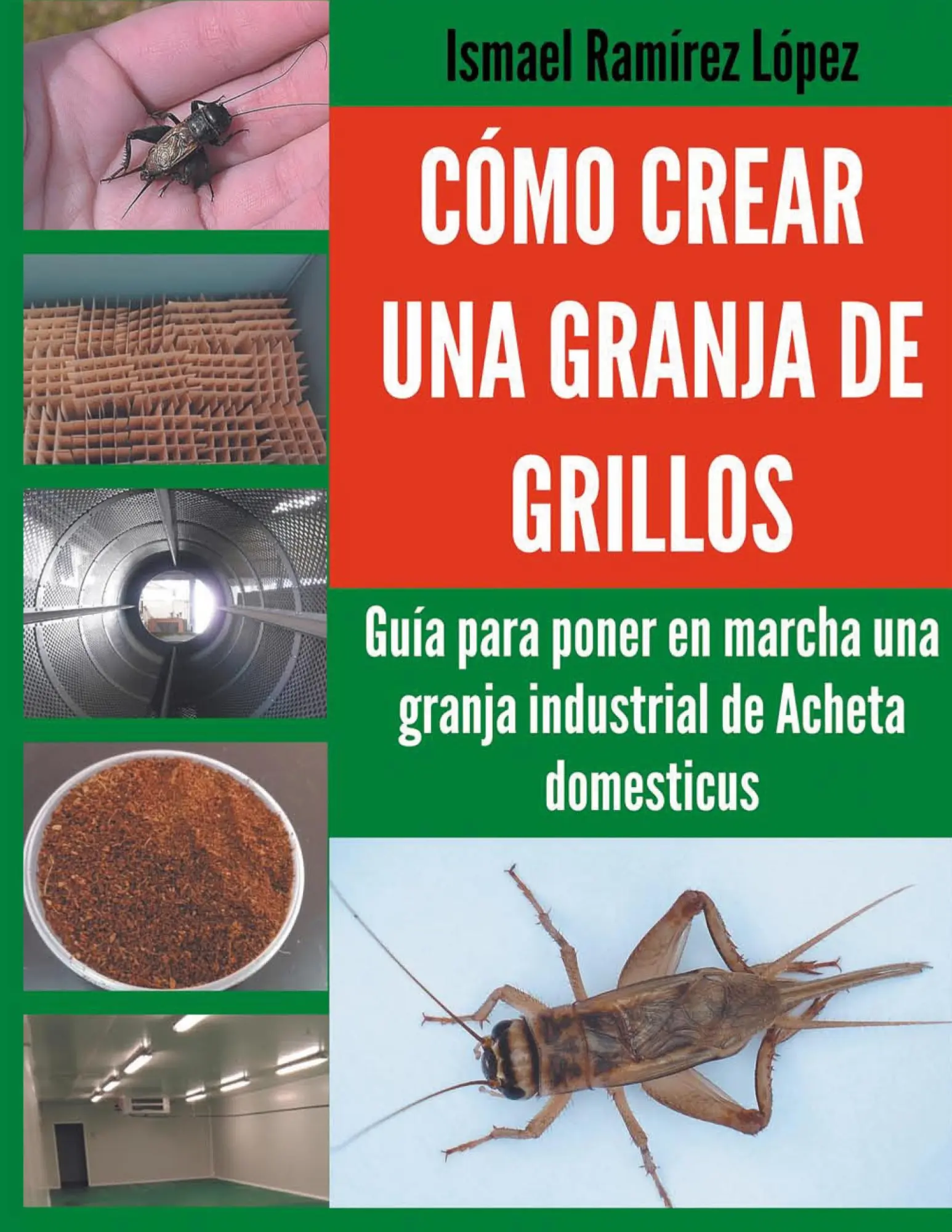 Cover: 9788411237604 | Cómo crear una granja de grillos | Ismael Ramírez | Taschenbuch | 2022