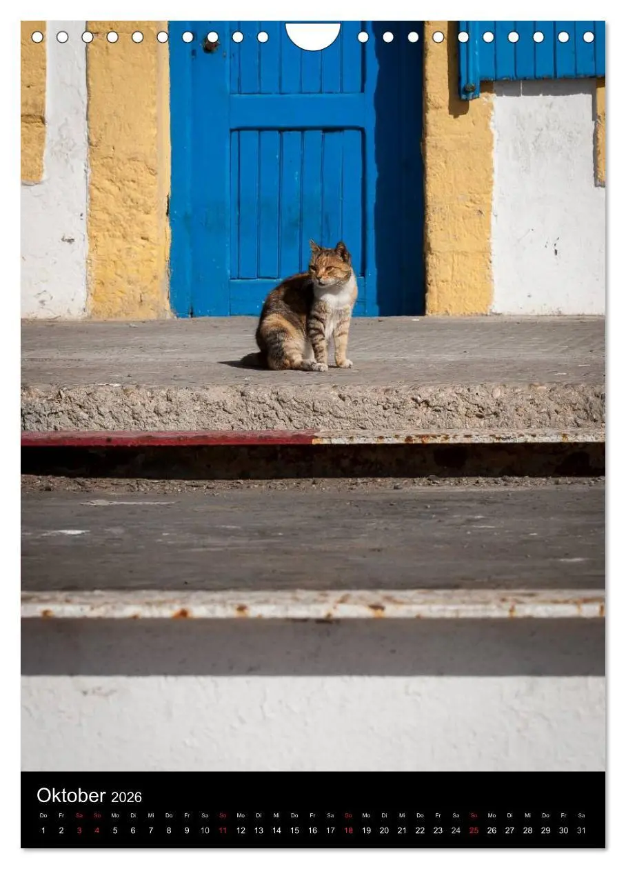 Bild: 9783516457704 | Katzen in Marokko (Wandkalender 2026 DIN A4 hoch), CALVENDO...