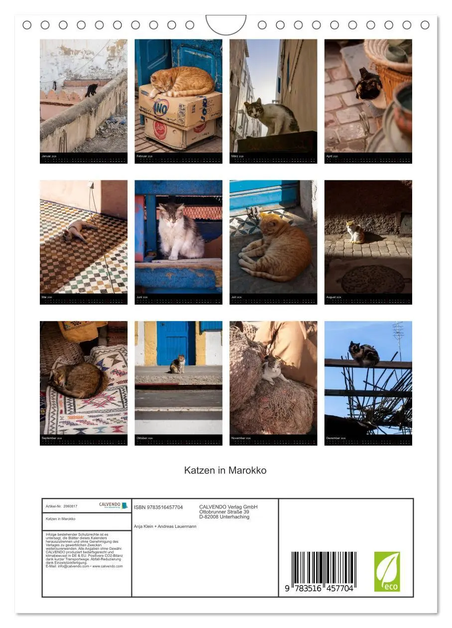 Bild: 9783516457704 | Katzen in Marokko (Wandkalender 2026 DIN A4 hoch), CALVENDO...