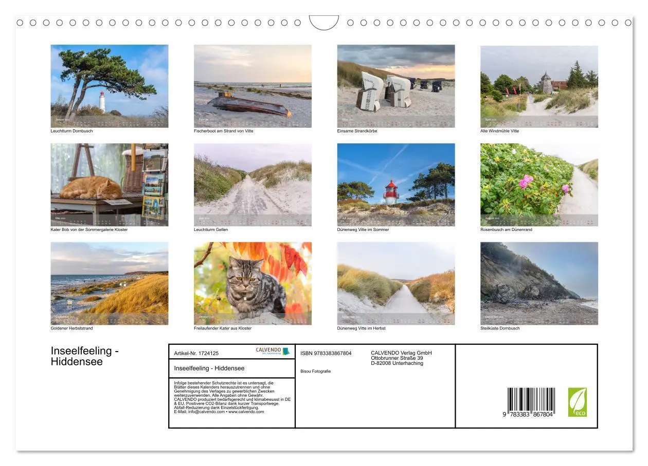 Bild: 9783383867804 | Inseelfeeling - Hiddensee (Wandkalender 2025 DIN A3 quer), CALVENDO...