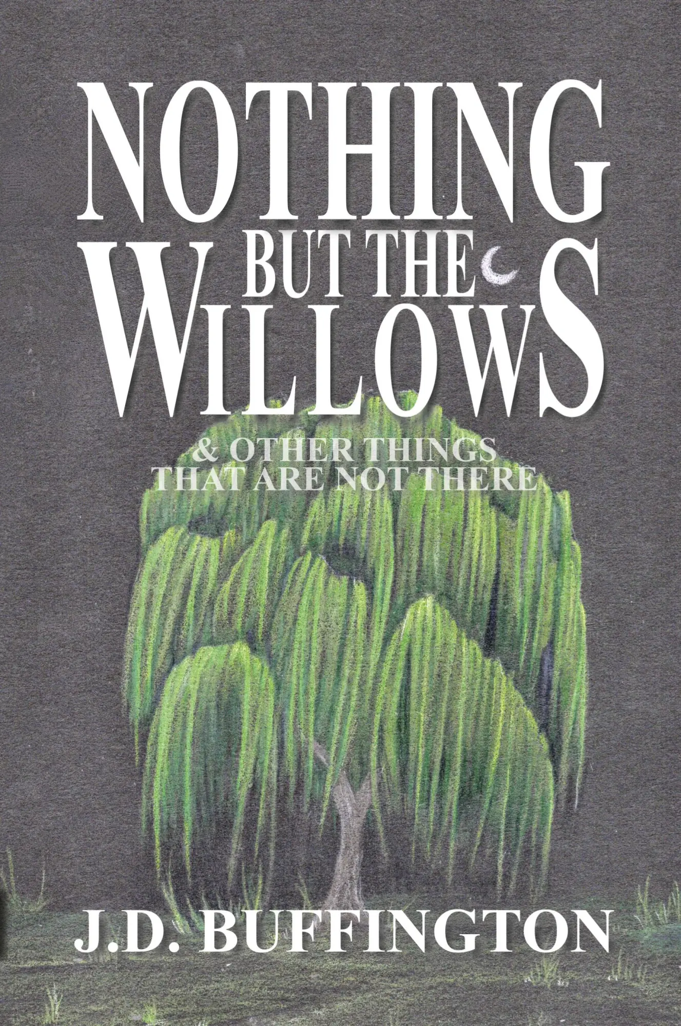 Cover: 9798991387804 | Nothing But The Willows &amp; Other Things That Are Not There | Buffington