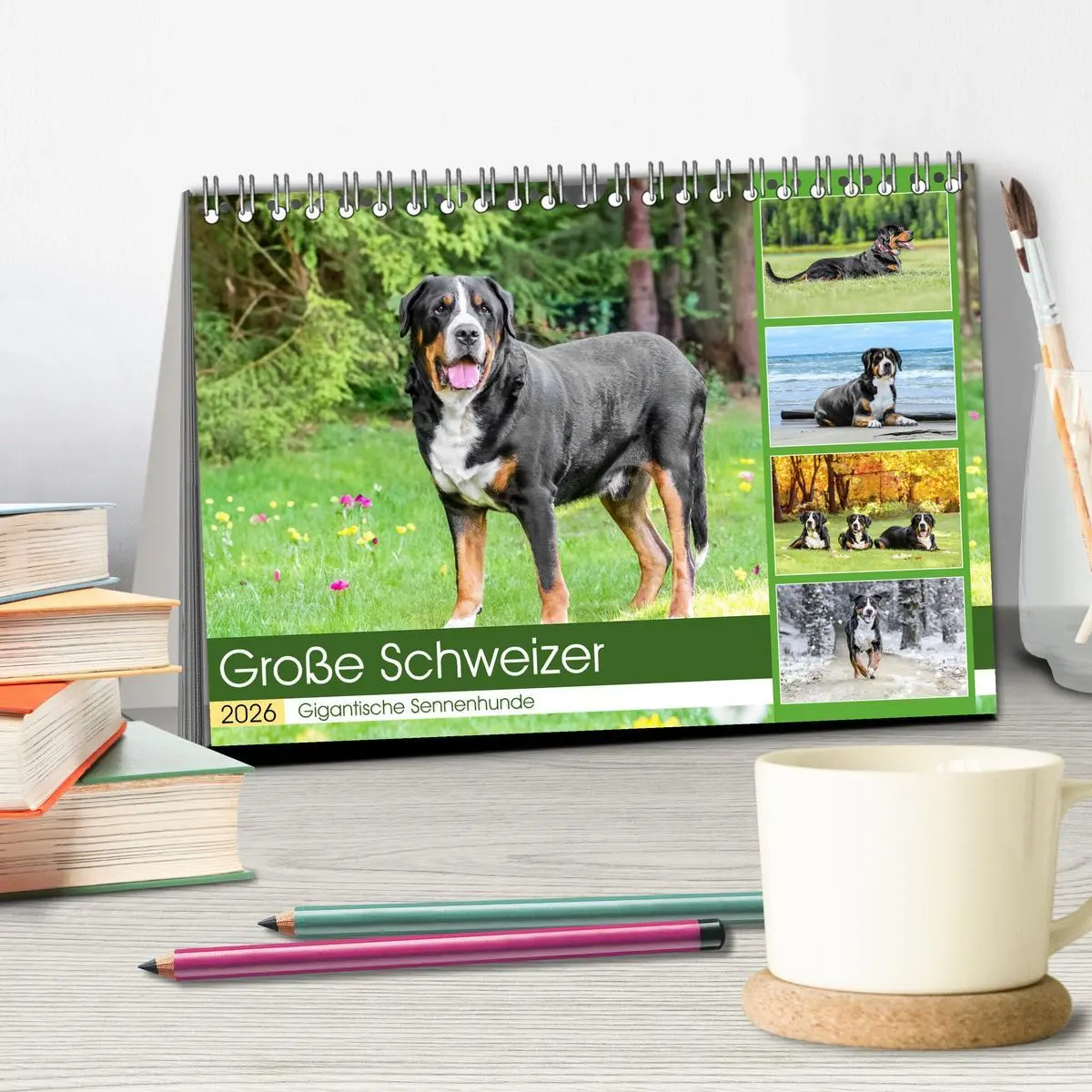Bild: 9783457347904 | Große Schweizer - Gigantische Sennenhunde (Tischkalender 2026 DIN...