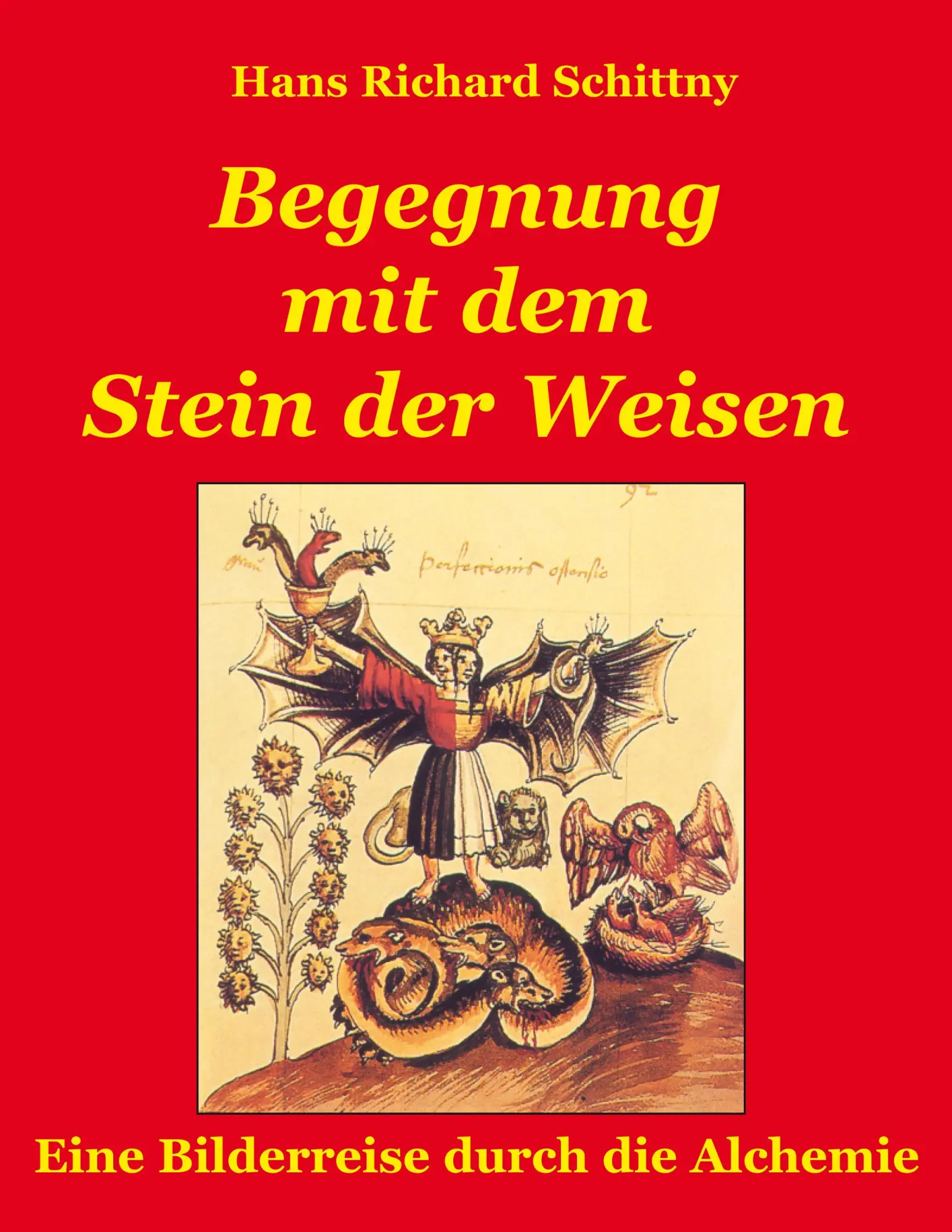Cover: 9783833477904 | Begegnung mit dem Stein der Weisen | Hans Richard Schittny | Buch