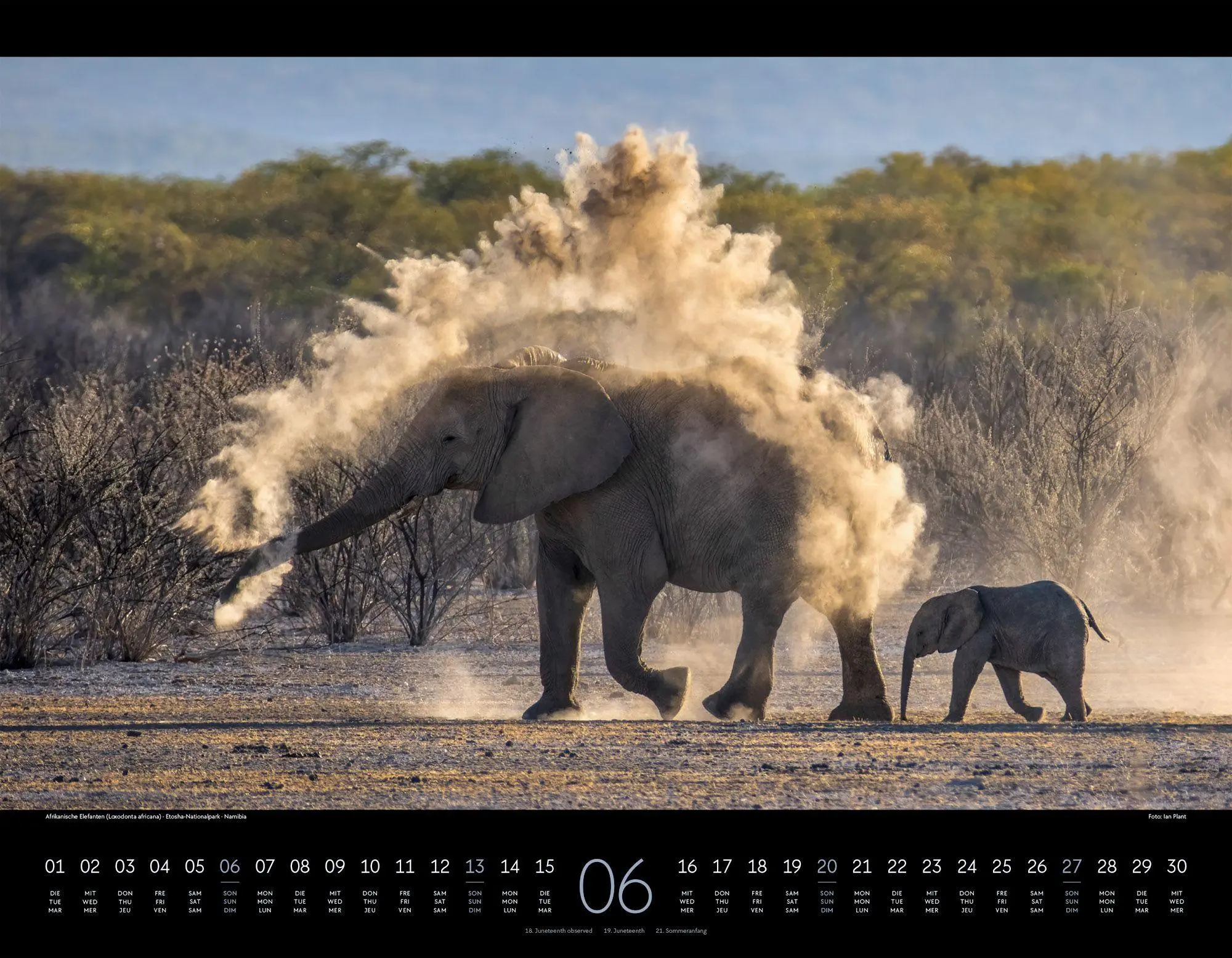 Bild: 9783838427904 | Wildes Afrika Kalender 2027 | Ackermann Kunstverlag GmbH | Kalender