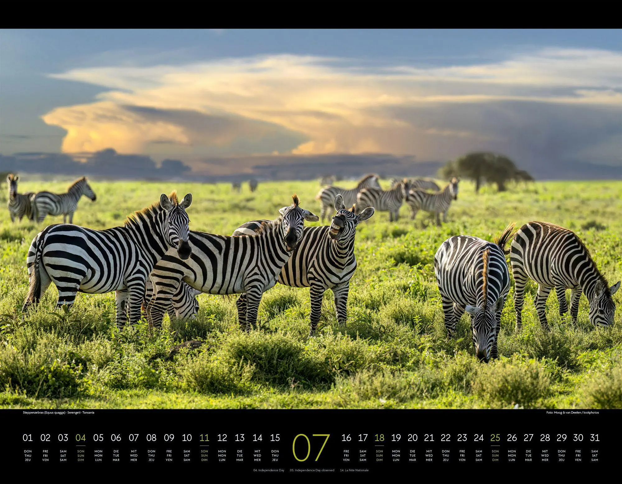 Bild: 9783838427904 | Wildes Afrika Kalender 2027 | Ackermann Kunstverlag GmbH | Kalender