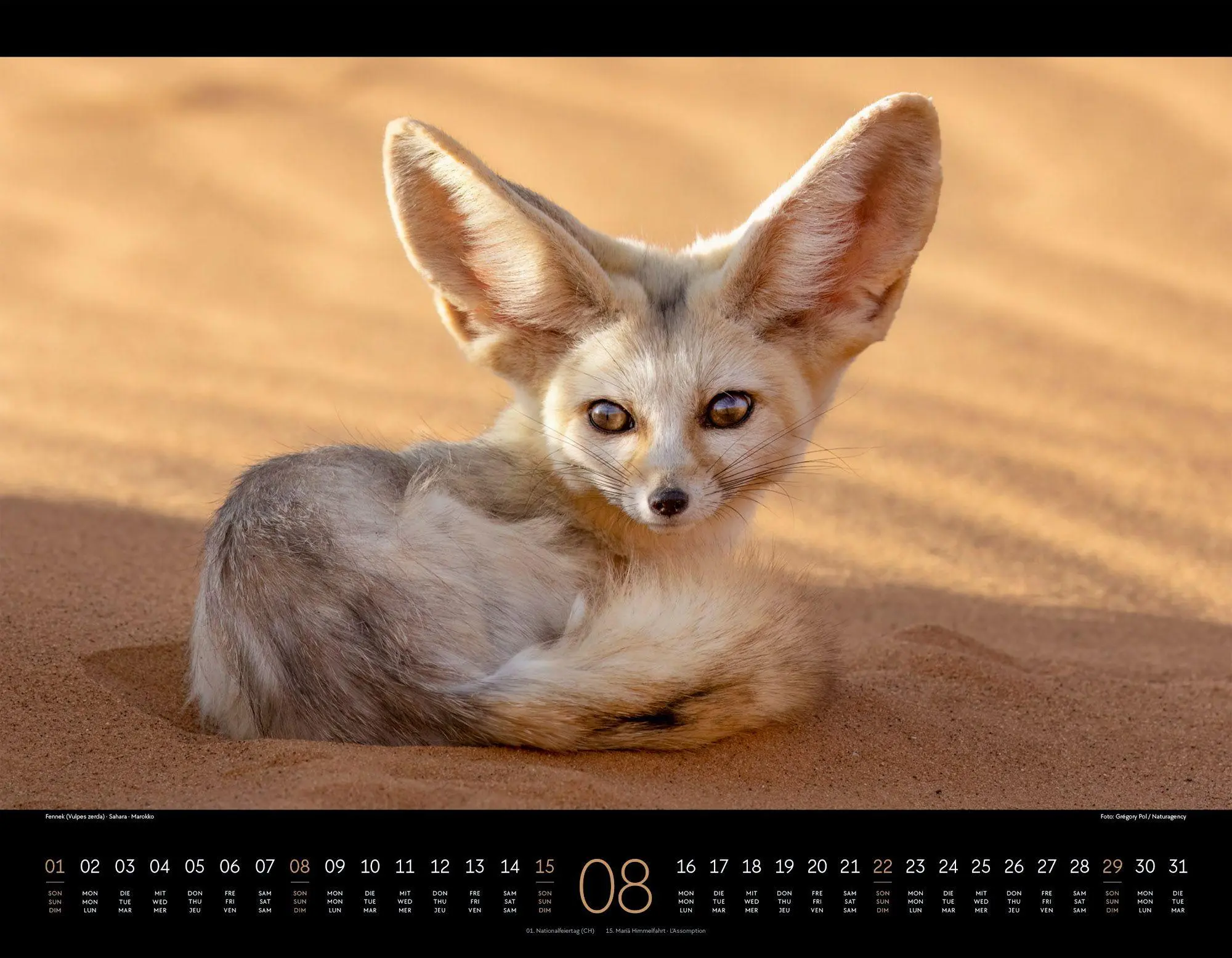 Bild: 9783838427904 | Wildes Afrika Kalender 2027 | Ackermann Kunstverlag GmbH | Kalender