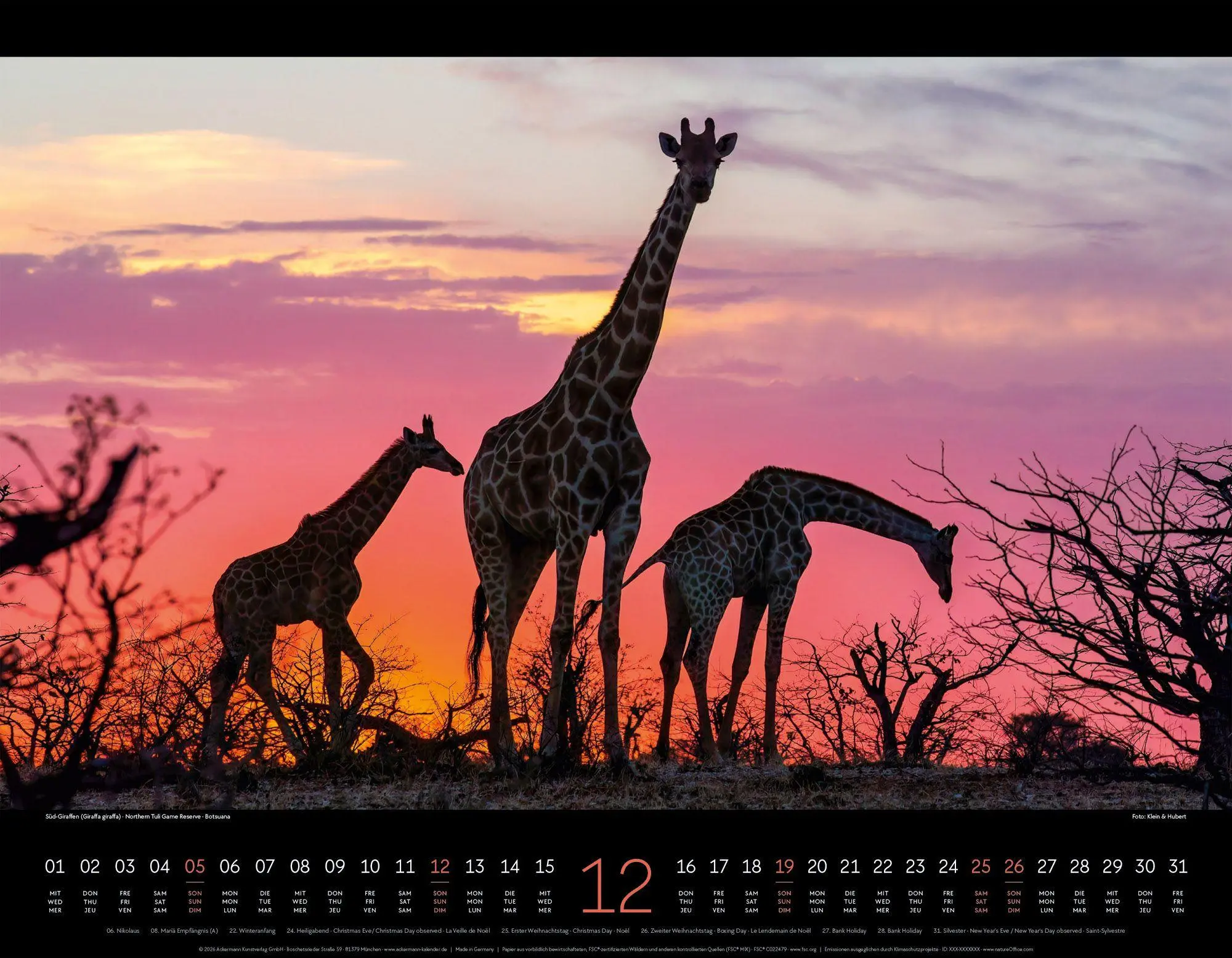 Bild: 9783838427904 | Wildes Afrika Kalender 2027 | Ackermann Kunstverlag GmbH | Kalender