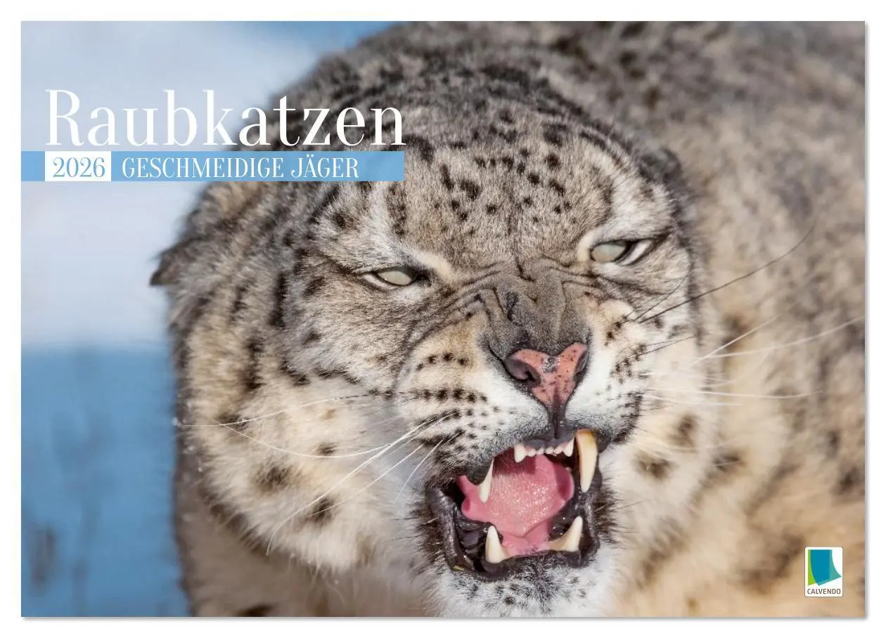 Cover: 9783516638004 | Raubkatzen: Geschmeidige Jäger (Wandkalender 2026 DIN A4 quer),...