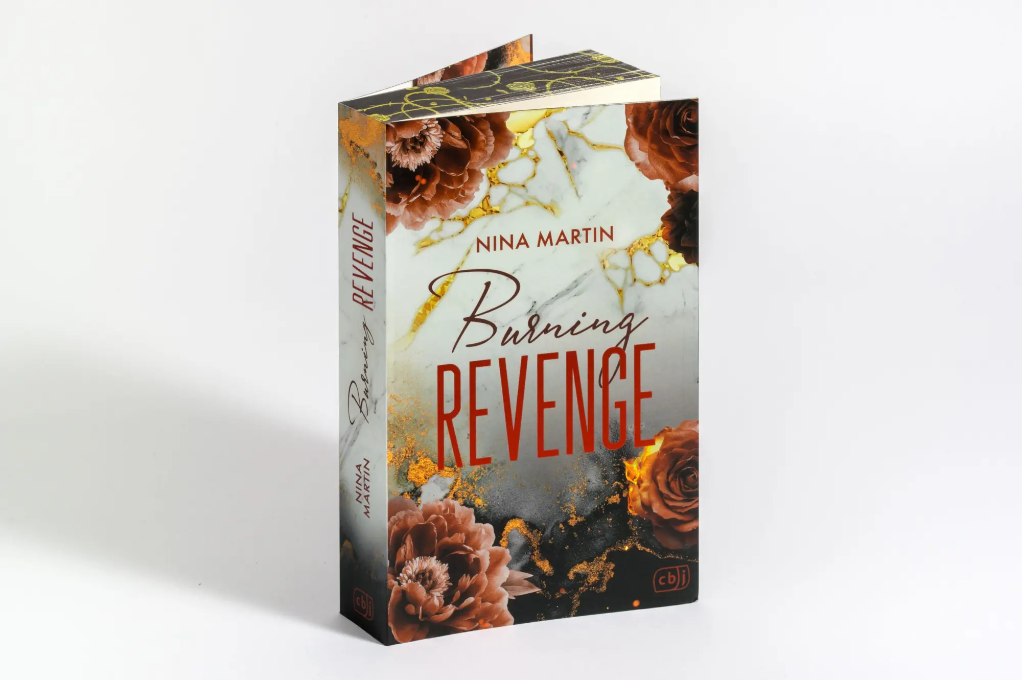 Bild: 9783570168004 | Burning Revenge | Nina Martin | Taschenbuch | 448 S. | Deutsch | 2026