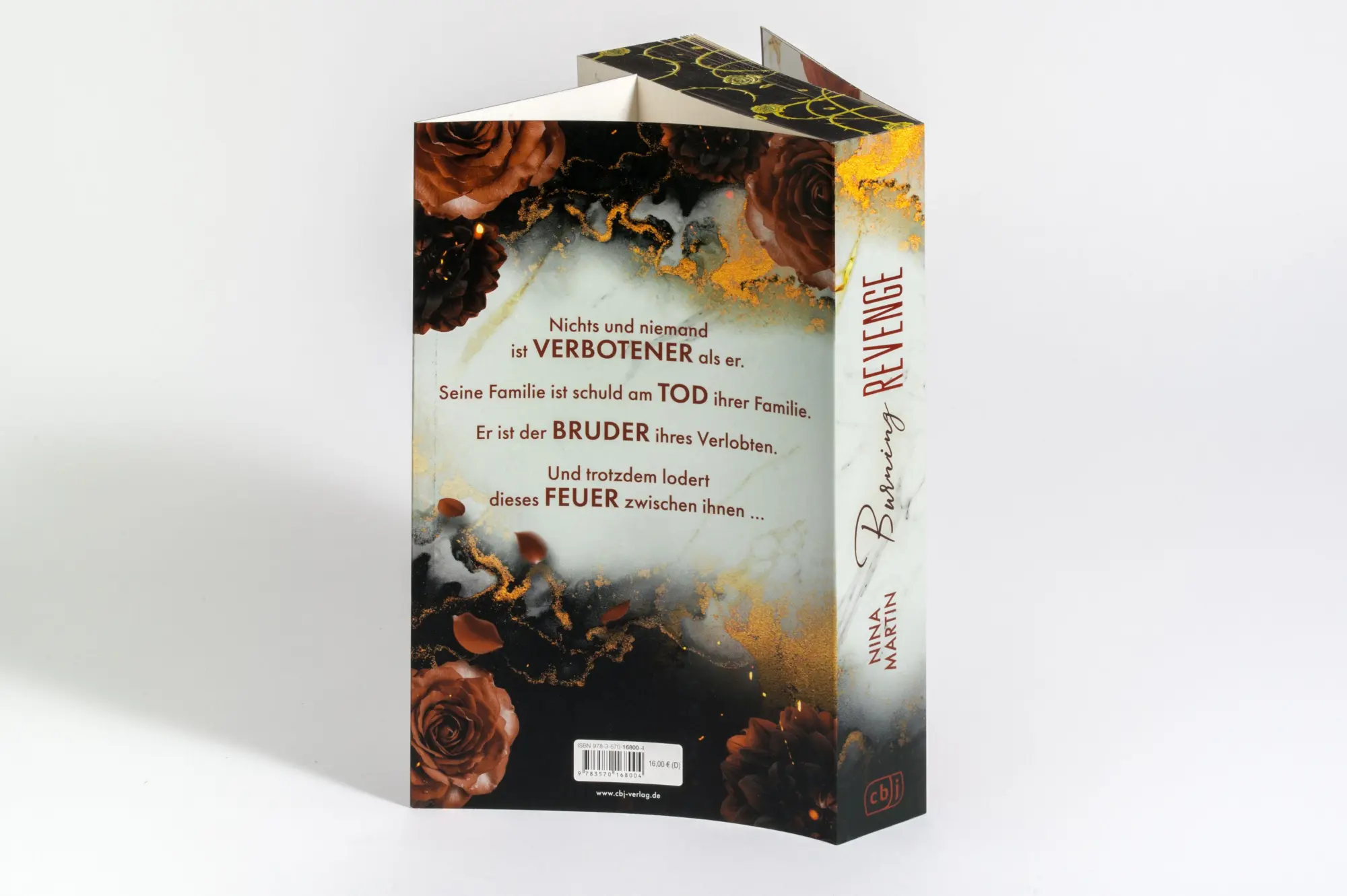 Bild: 9783570168004 | Burning Revenge | Nina Martin | Taschenbuch | 448 S. | Deutsch | 2026