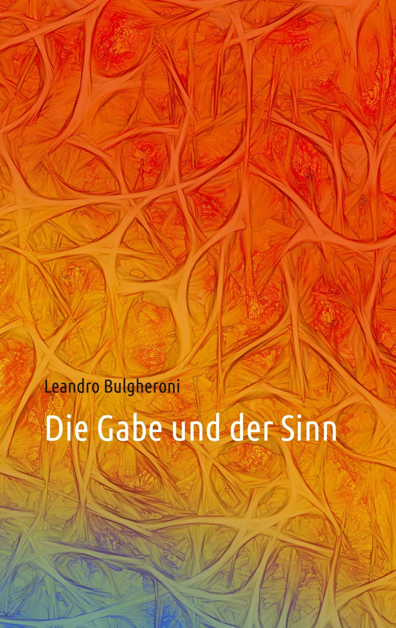 Cover: 9783752878004 | Die Gabe und der Sinn | Leandro Bulgheroni | Taschenbuch | 48 S.