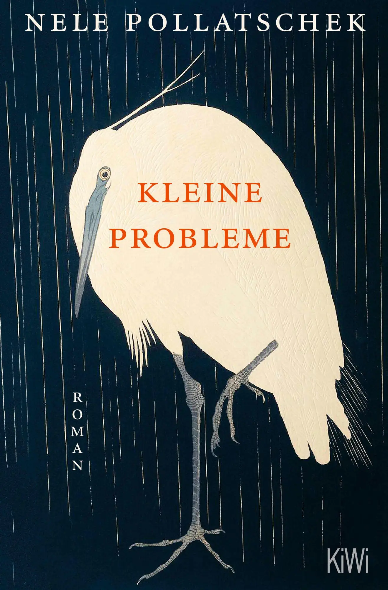 Cover: 9783462008104 | Kleine Probleme | Roman | Nele Pollatschek | Taschenbuch | 208 S.