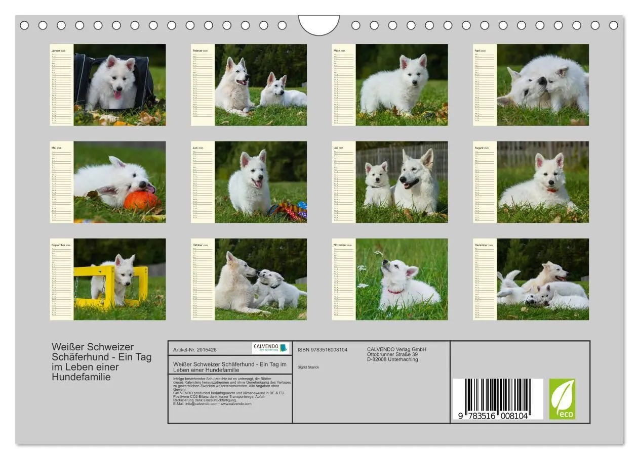 Bild: 9783516008104 | Weißer Schweizer Schäferhund - Ein Tag im Leben einer Hundefamilie...