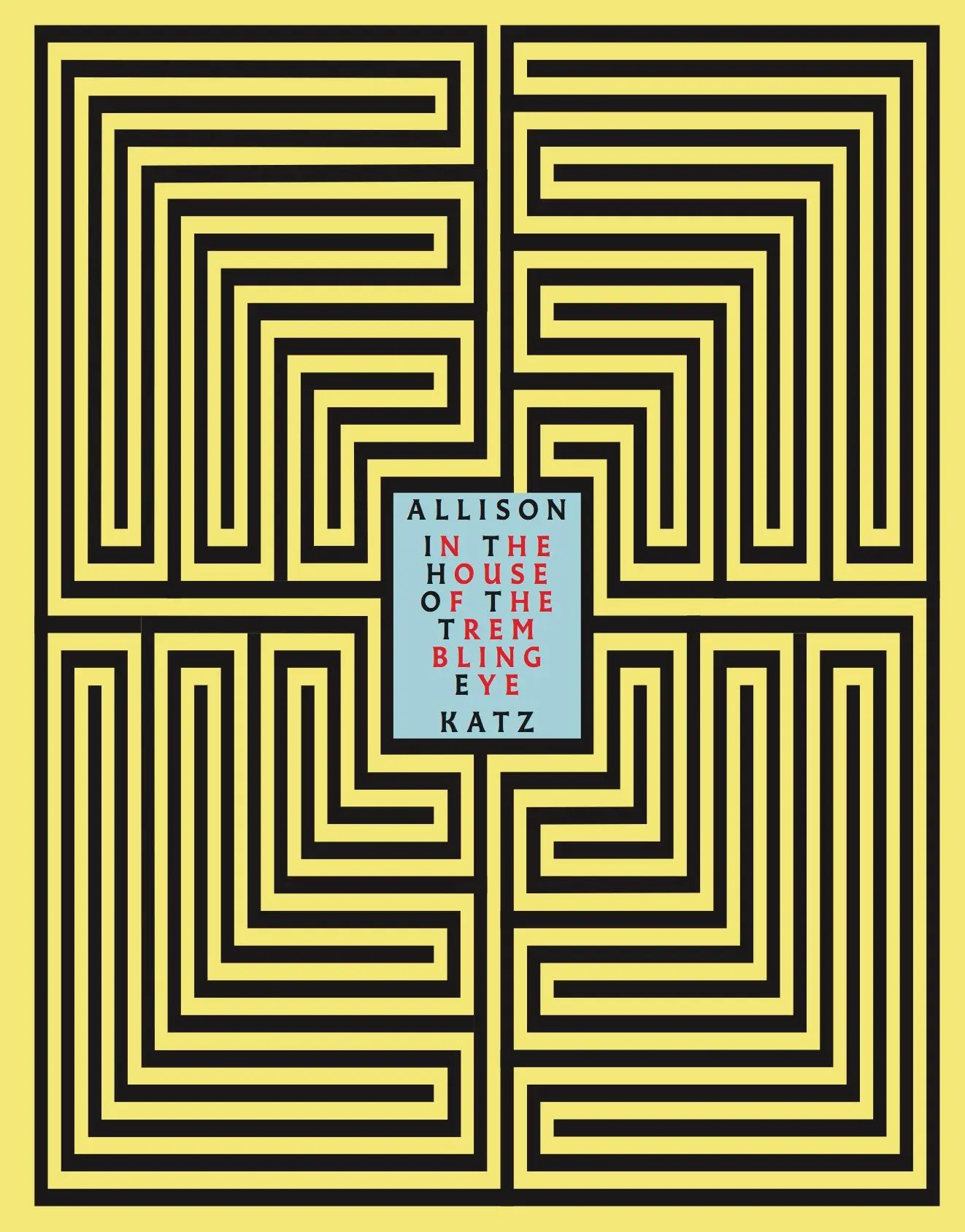 Cover: 9783753308104 | Allison Katz. In the House of the Trembling Eye | Allison Katz | Buch