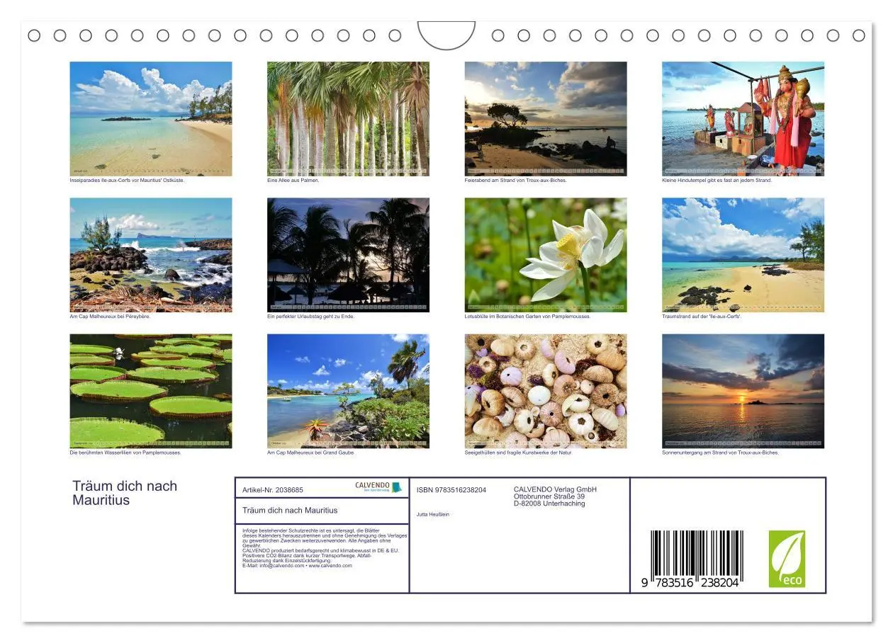 Bild: 9783516238204 | Träum dich nach Mauritius (Wandkalender 2026 DIN A4 quer), CALVENDO...