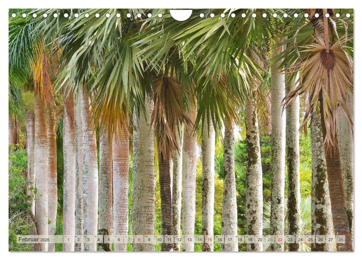 Bild: 9783516238204 | Träum dich nach Mauritius (Wandkalender 2026 DIN A4 quer), CALVENDO...