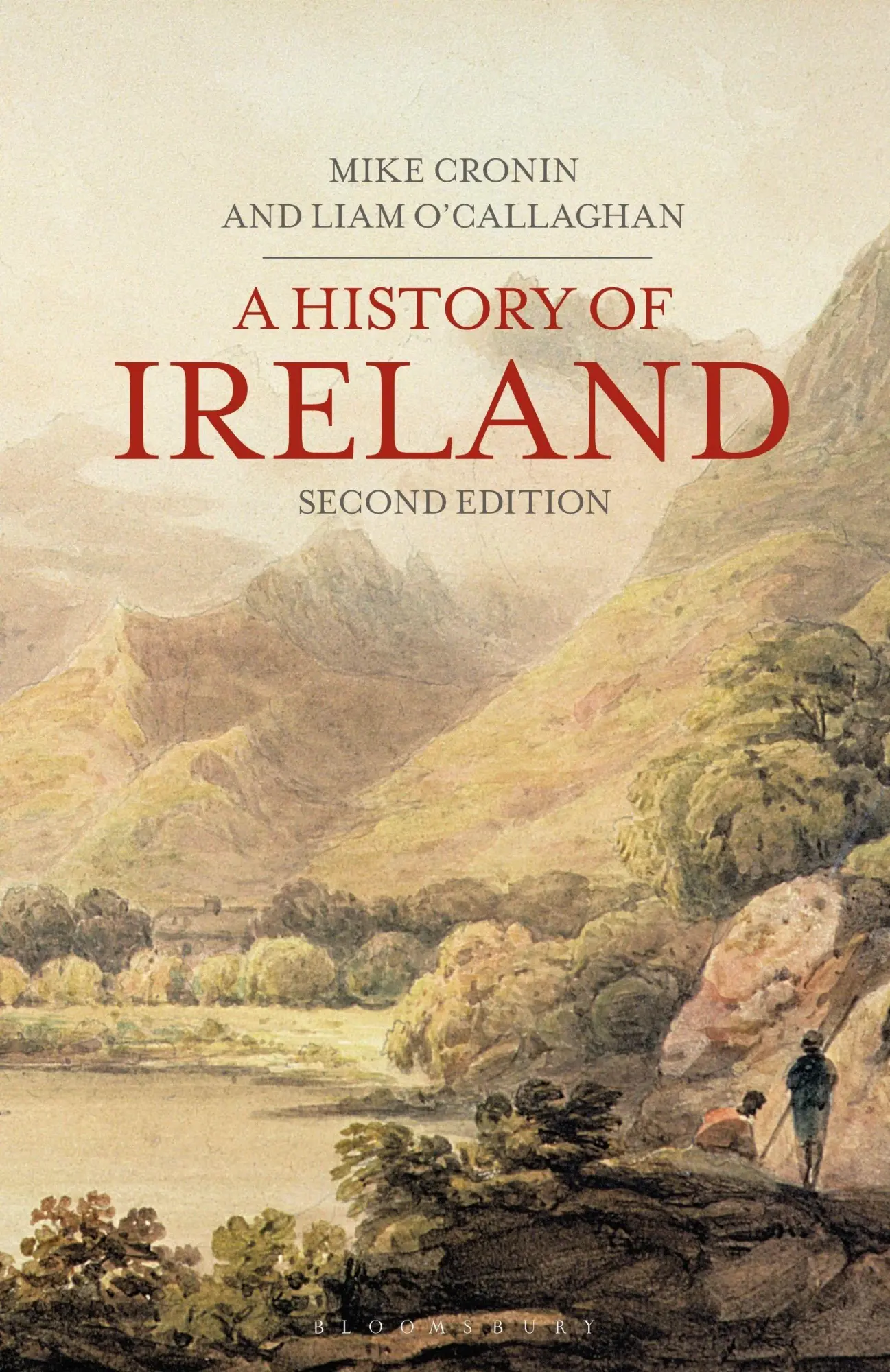 Cover: 9781403948304 | A History of Ireland | Mike Cronin (u. a.) | Taschenbuch | Englisch