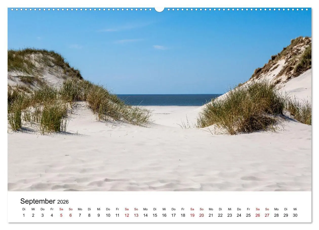 Bild: 9783457518304 | Amrum - Das Paradies in der Nordsee (hochwertiger Premium...