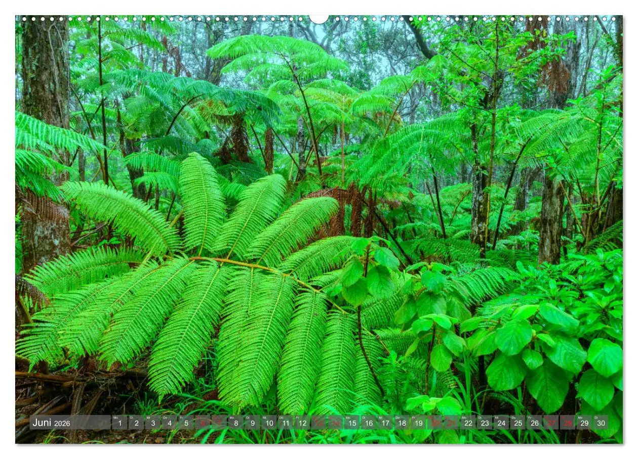 Bild: 9783457688304 | Nationalparks der USA (Wandkalender 2026 DIN A2 quer), CALVENDO...
