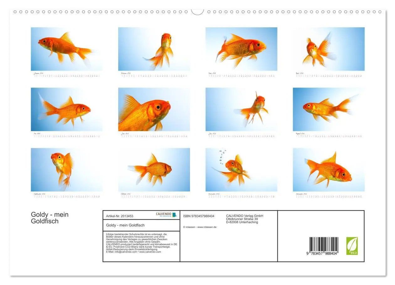 Bild: 9783457988404 | Goldy - mein Goldfisch (hochwertiger Premium Wandkalender 2026 DIN...