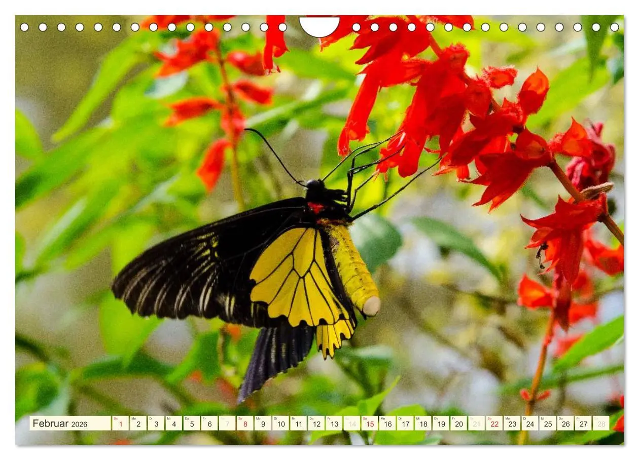Bild: 9783516068504 | Unterwegs in Malaysia (Wandkalender 2026 DIN A4 quer), CALVENDO...