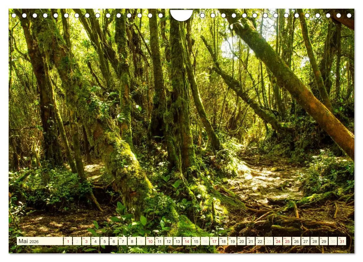 Bild: 9783516068504 | Unterwegs in Malaysia (Wandkalender 2026 DIN A4 quer), CALVENDO...