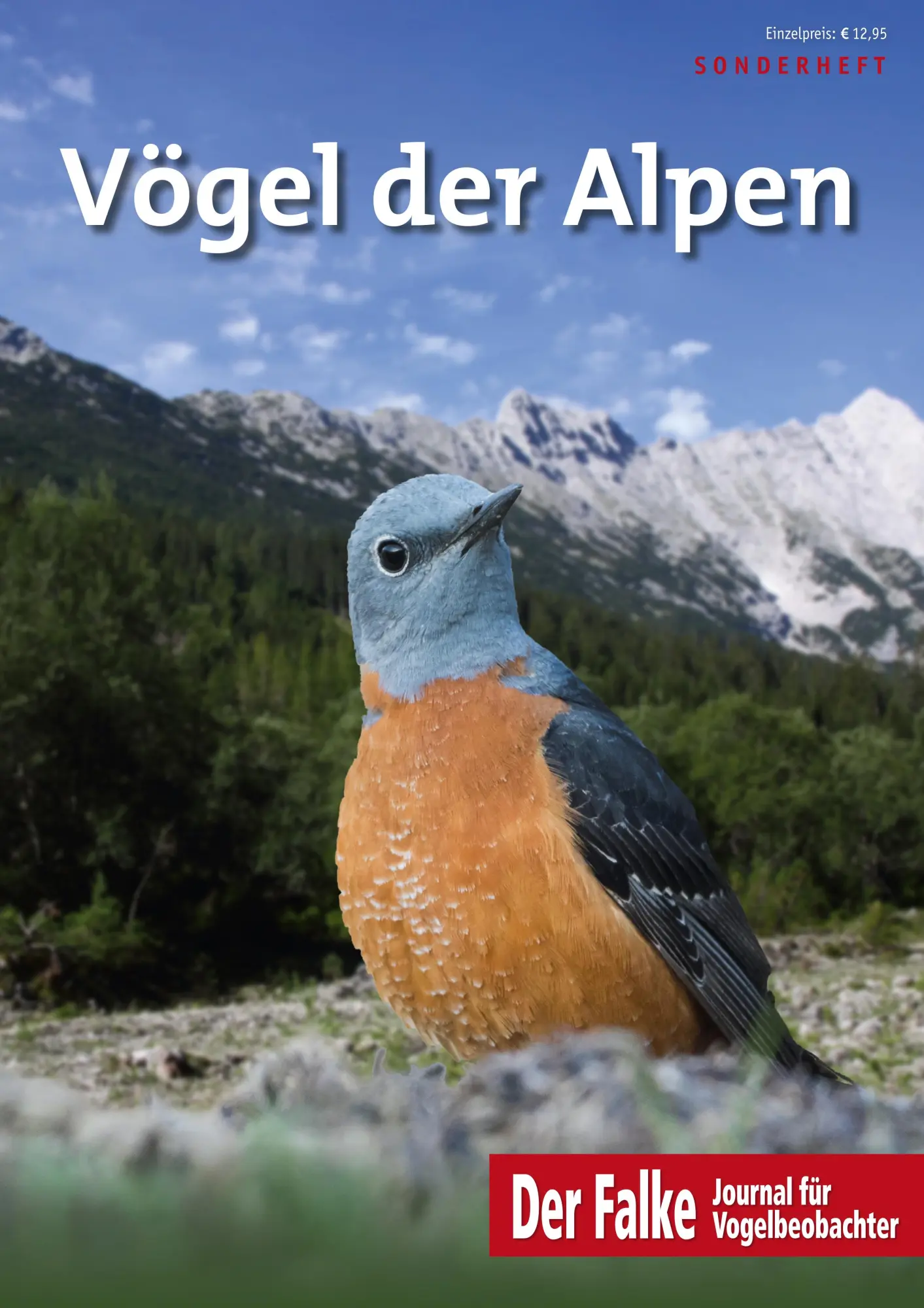 Cover: 9783891048504 | Vögel der Alpen | Redaktion Der Falke | Broschüre | 72 S. | Deutsch