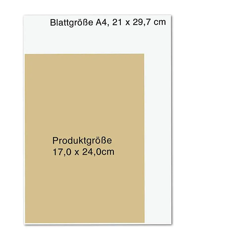 Bild: 9783426658604 | Die Wildpflanzen-Apotheke | Essbare Pflanzen, die nähren und heilen