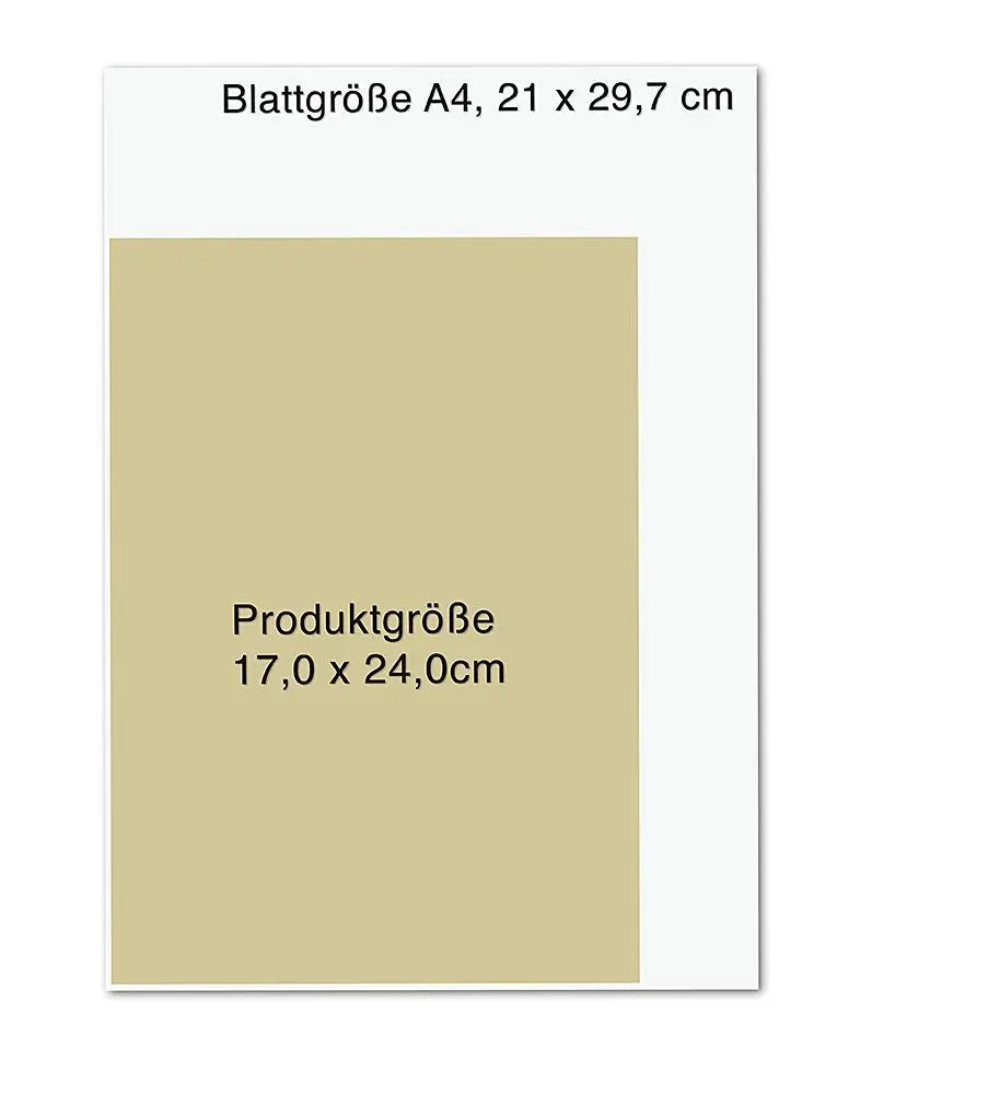Bild: 9783426658604 | Die Wildpflanzen-Apotheke | Essbare Pflanzen, die nähren und heilen
