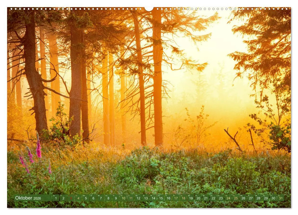 Bild: 9783457348604 | Farben und Muster der Erde (Wandkalender 2026 DIN A2 quer),...