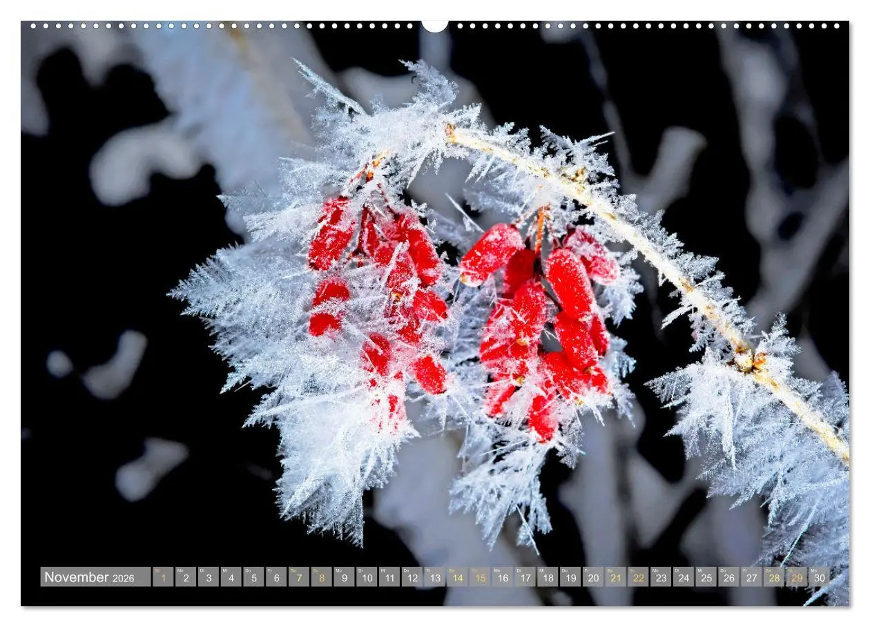 Bild: 9783457348604 | Farben und Muster der Erde (Wandkalender 2026 DIN A2 quer),...