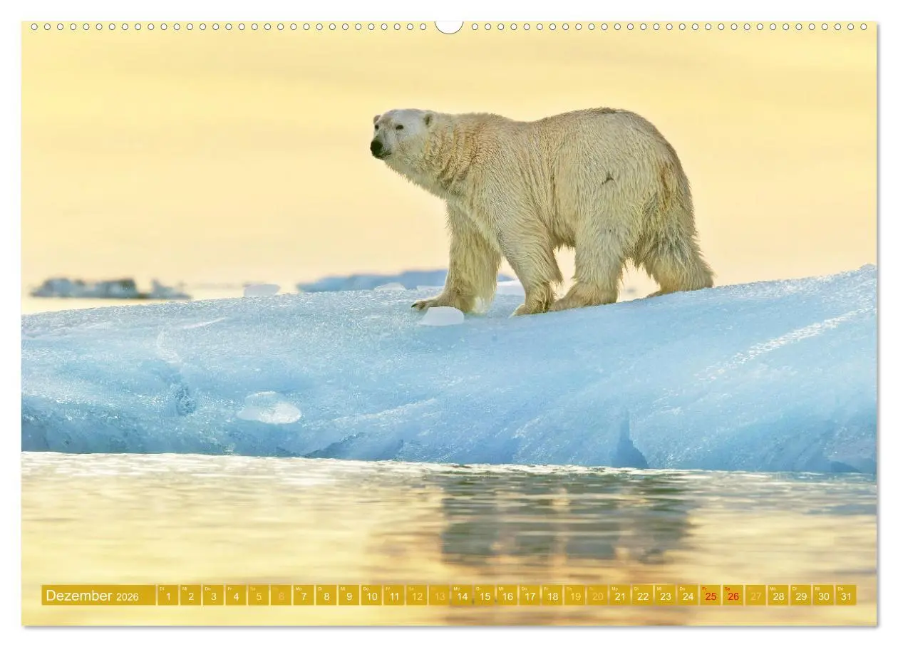 Bild: 9783457348604 | Farben und Muster der Erde (Wandkalender 2026 DIN A2 quer),...