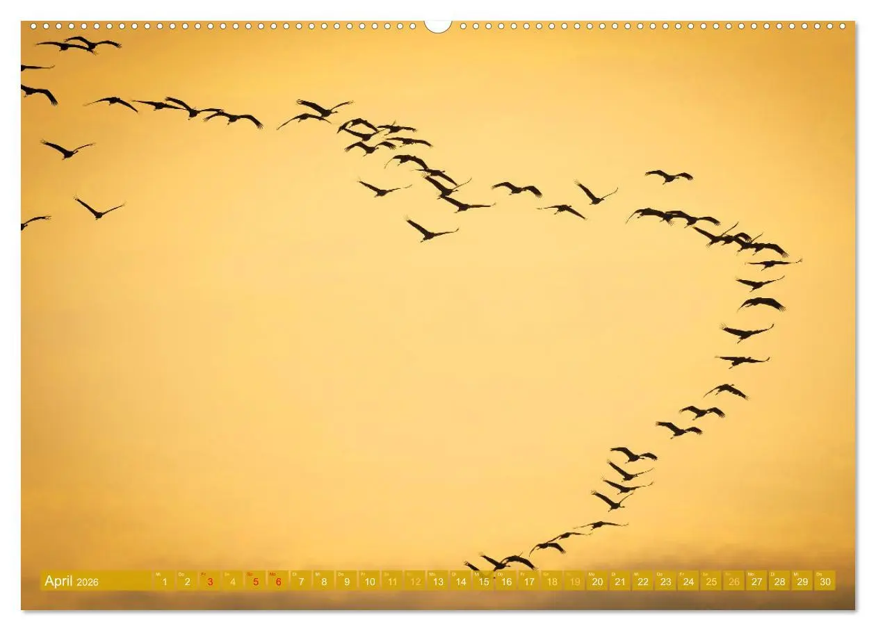 Bild: 9783457348604 | Farben und Muster der Erde (Wandkalender 2026 DIN A2 quer),...