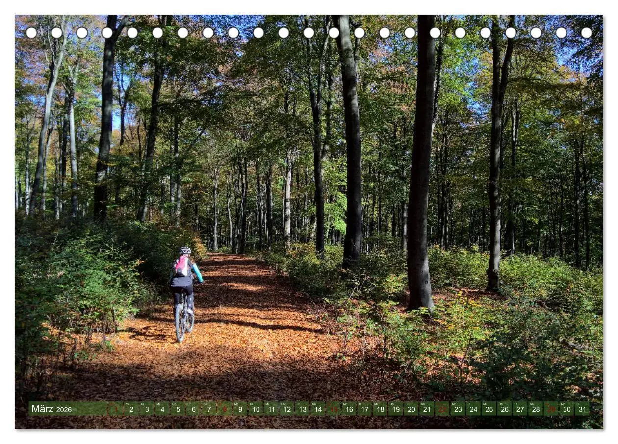 Bild: 9783457418604 | Biken - Impressionen von Rolf Dietz (Tischkalender 2026 DIN A5...