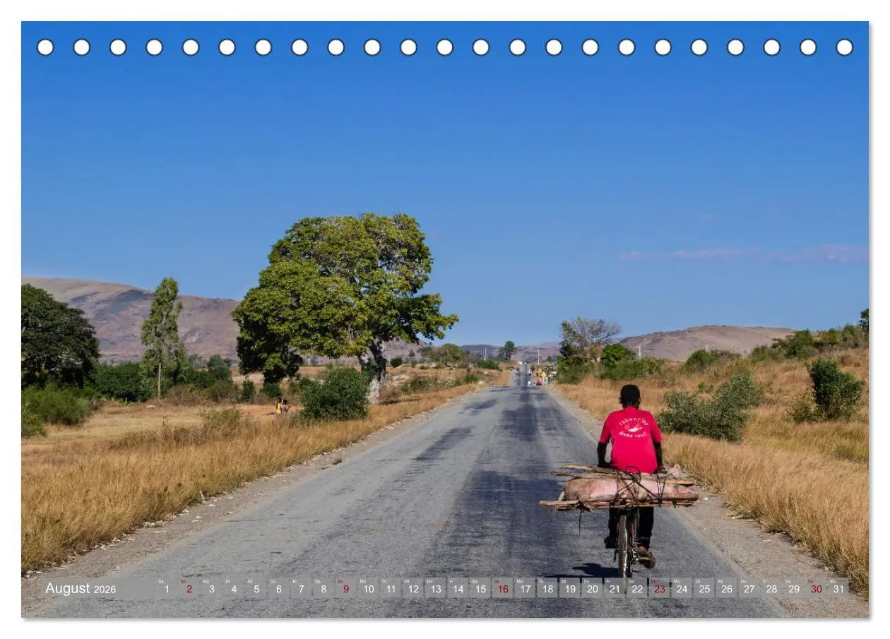 Bild: 9783457418604 | Biken - Impressionen von Rolf Dietz (Tischkalender 2026 DIN A5...