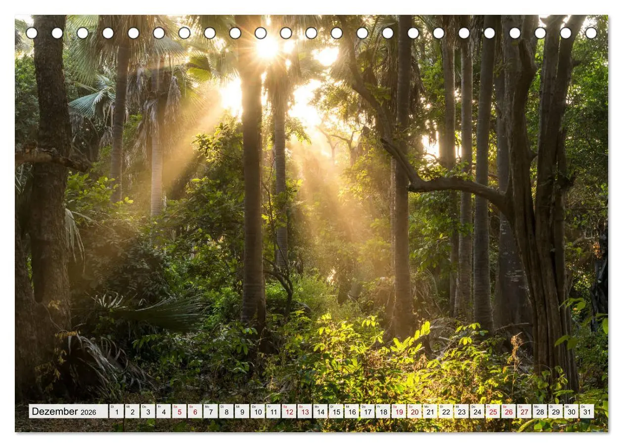 Bild: 9783457728604 | Westafrika - The Gambia (Tischkalender 2026 DIN A5 quer), CALVENDO...