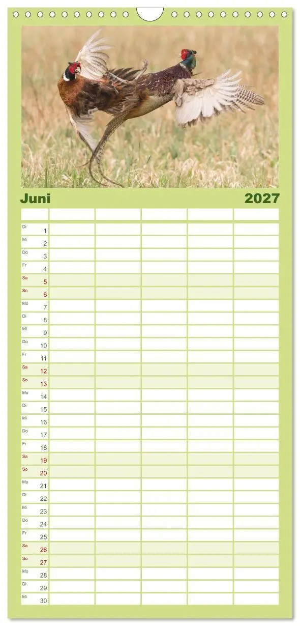 Bild: 9783594348604 | Familienplaner 2027 - Emotionale Momente: Wild und Jagd. mit 5...