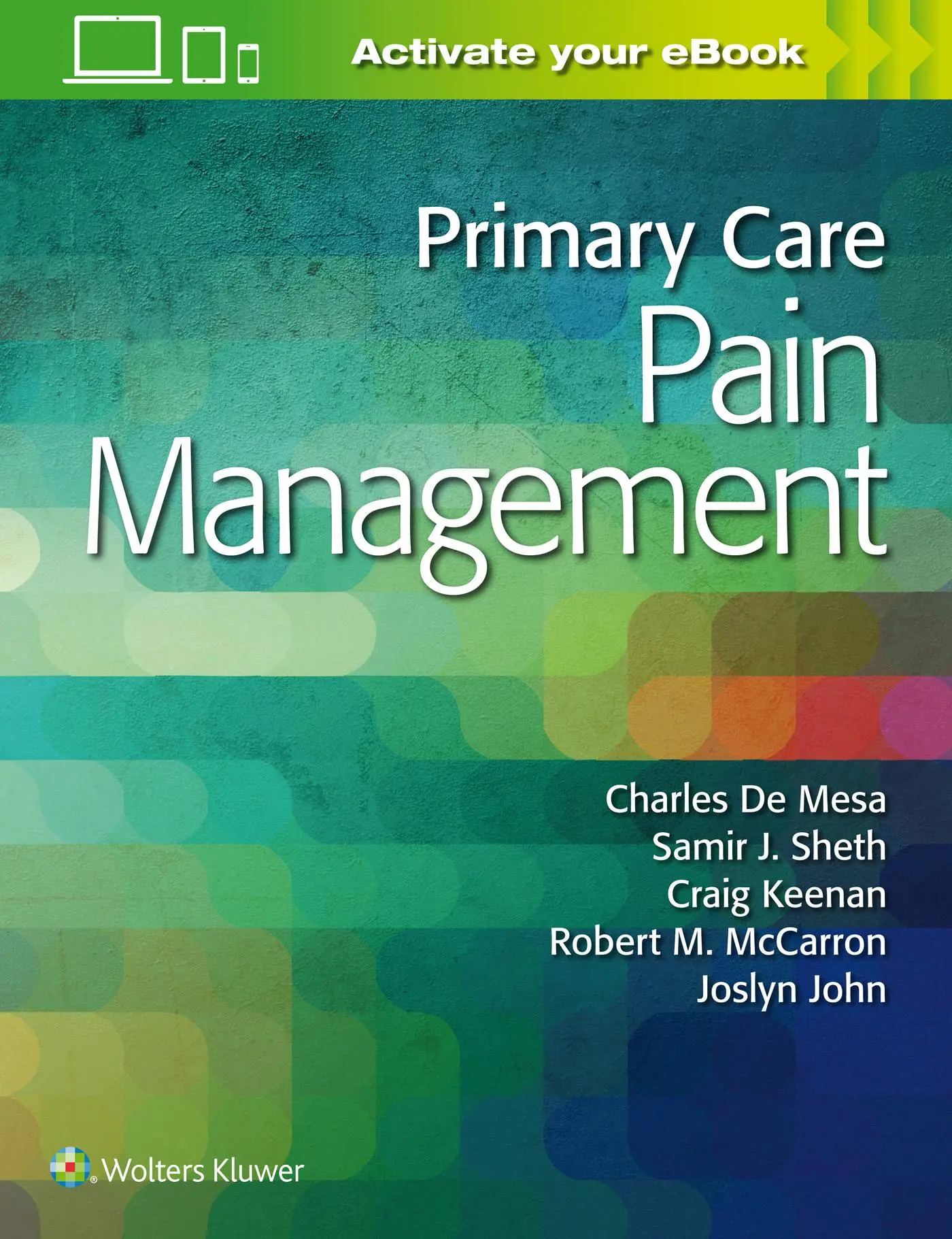 Cover: 9781496378804 | Primary Care Pain Management | Charles de Mesa | Taschenbuch | 2019