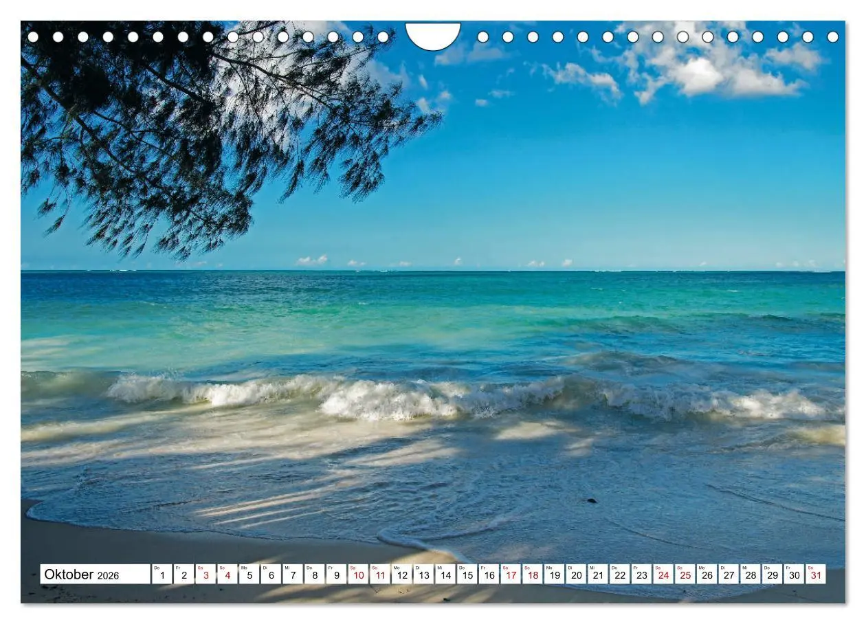 Bild: 9783457878804 | Die Gewürzinsel Sansibar (Wandkalender 2026 DIN A4 quer), CALVENDO...