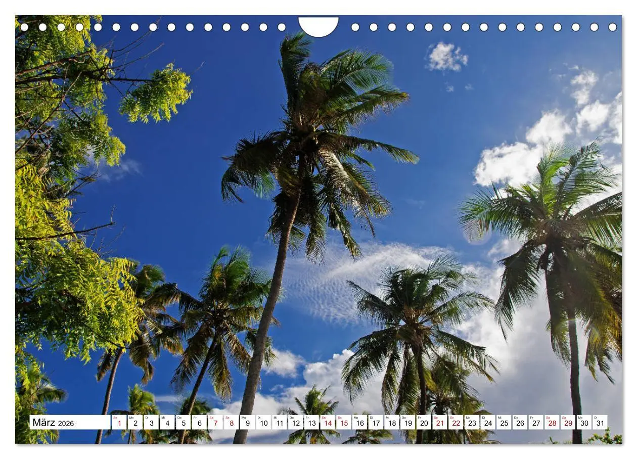 Bild: 9783457878804 | Die Gewürzinsel Sansibar (Wandkalender 2026 DIN A4 quer), CALVENDO...