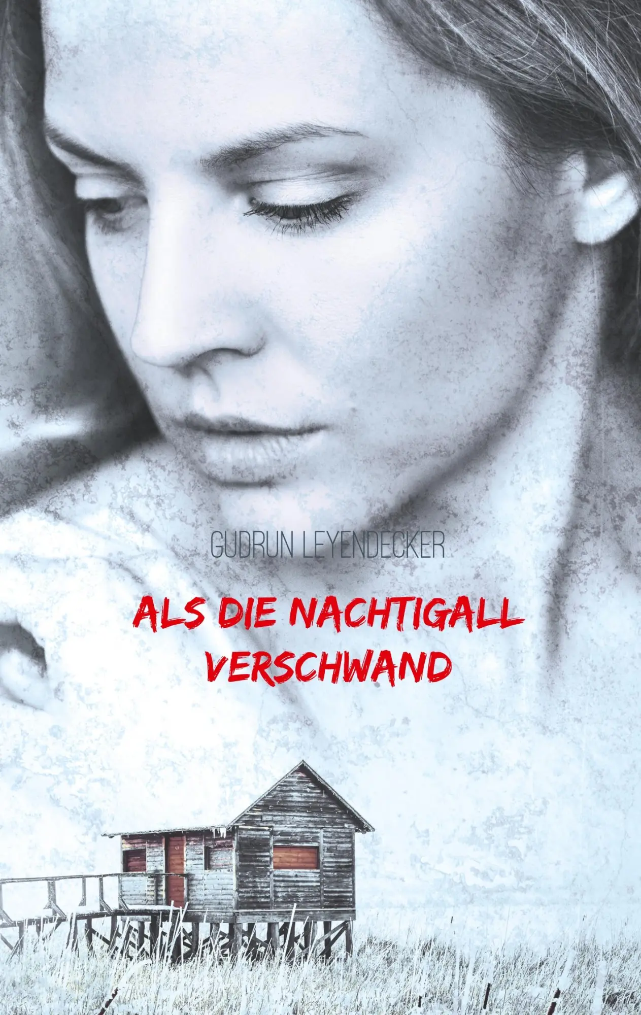 Als die Nachtigall verschwand: Liebe und mehr