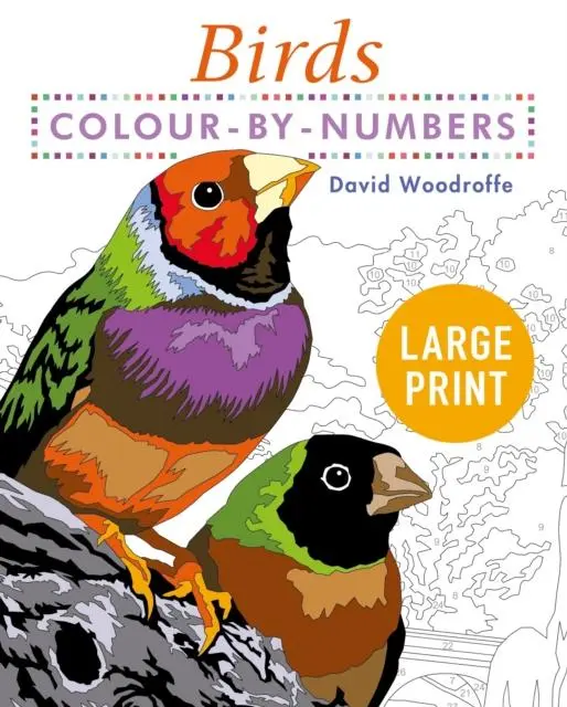 Cover: 9781398808904 | Large Print Colour by Numbers Birds | Easy-to-Read | David Woodroffe