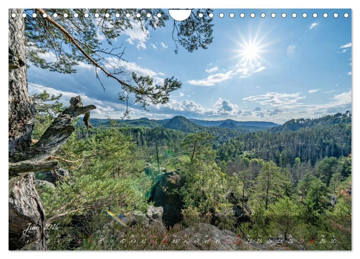 Bild: 9783457318904 | Landschaften der Sächsischen Schweiz (Wandkalender 2026 DIN A4...