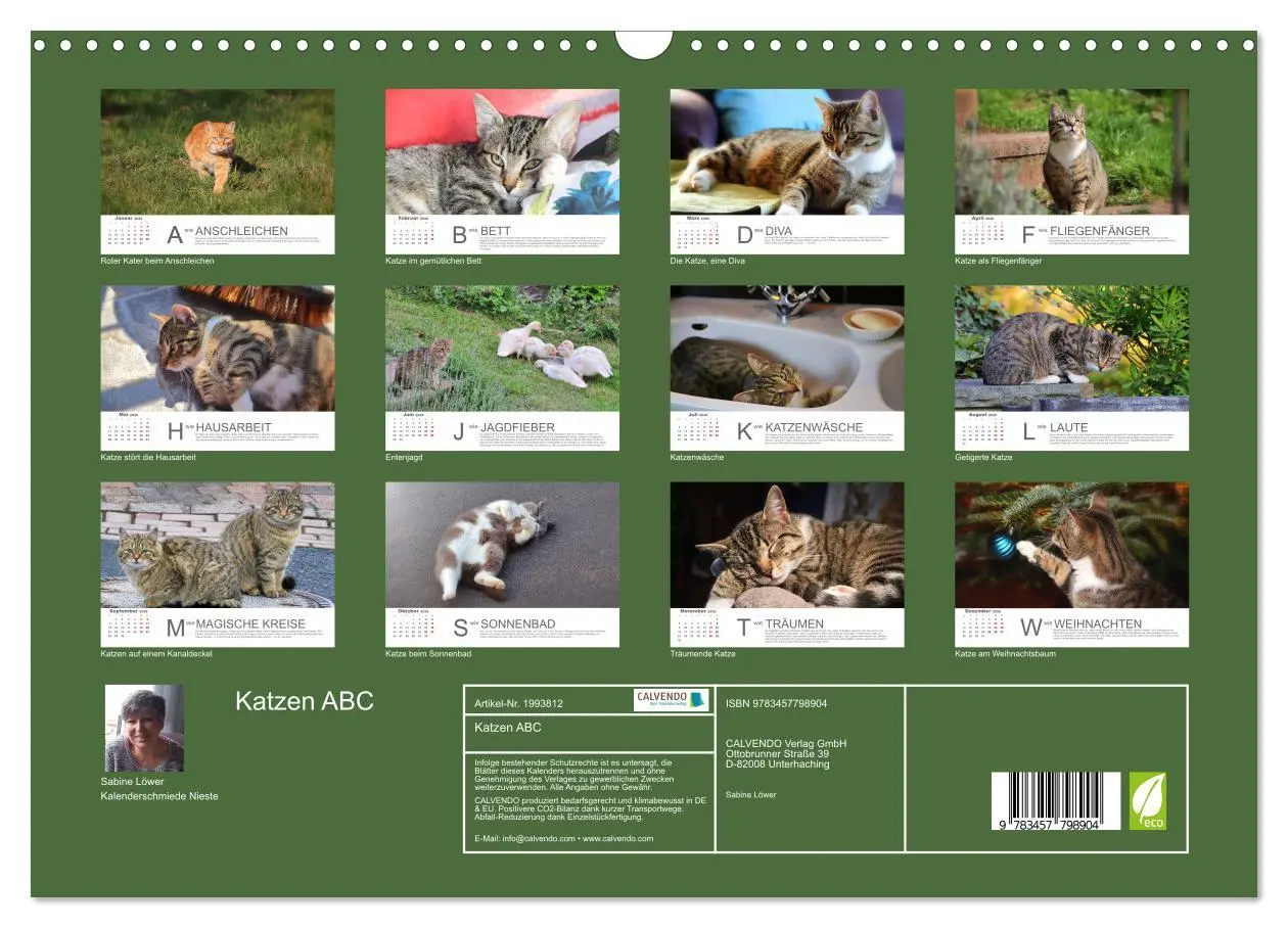 Bild: 9783457798904 | Katzen ABC (Wandkalender 2026 DIN A3 quer), CALVENDO Monatskalender
