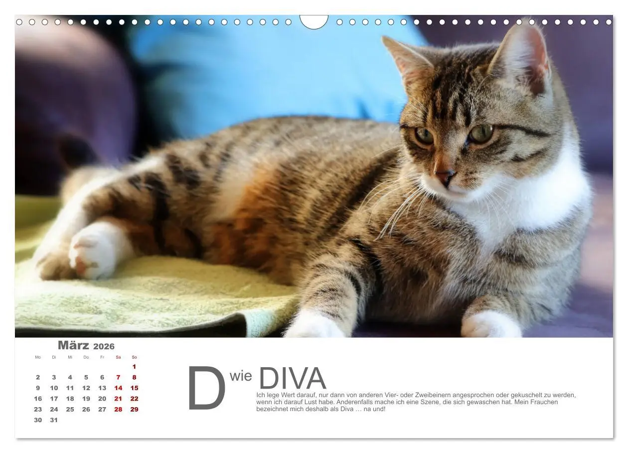 Bild: 9783457798904 | Katzen ABC (Wandkalender 2026 DIN A3 quer), CALVENDO Monatskalender