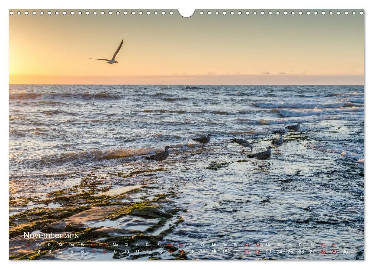 Bild: 9783457938904 | Flandern - Stadt und Strand (Wandkalender 2026 DIN A3 quer),...
