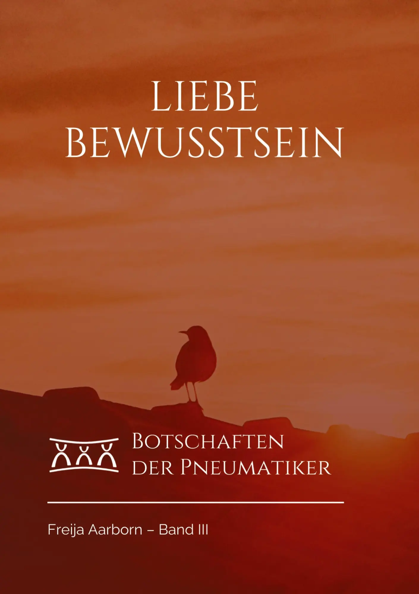 Cover: 9783347869004 | Liebe Bewusstsein | Botschaften der Pneumatiker | Freija Aarborn