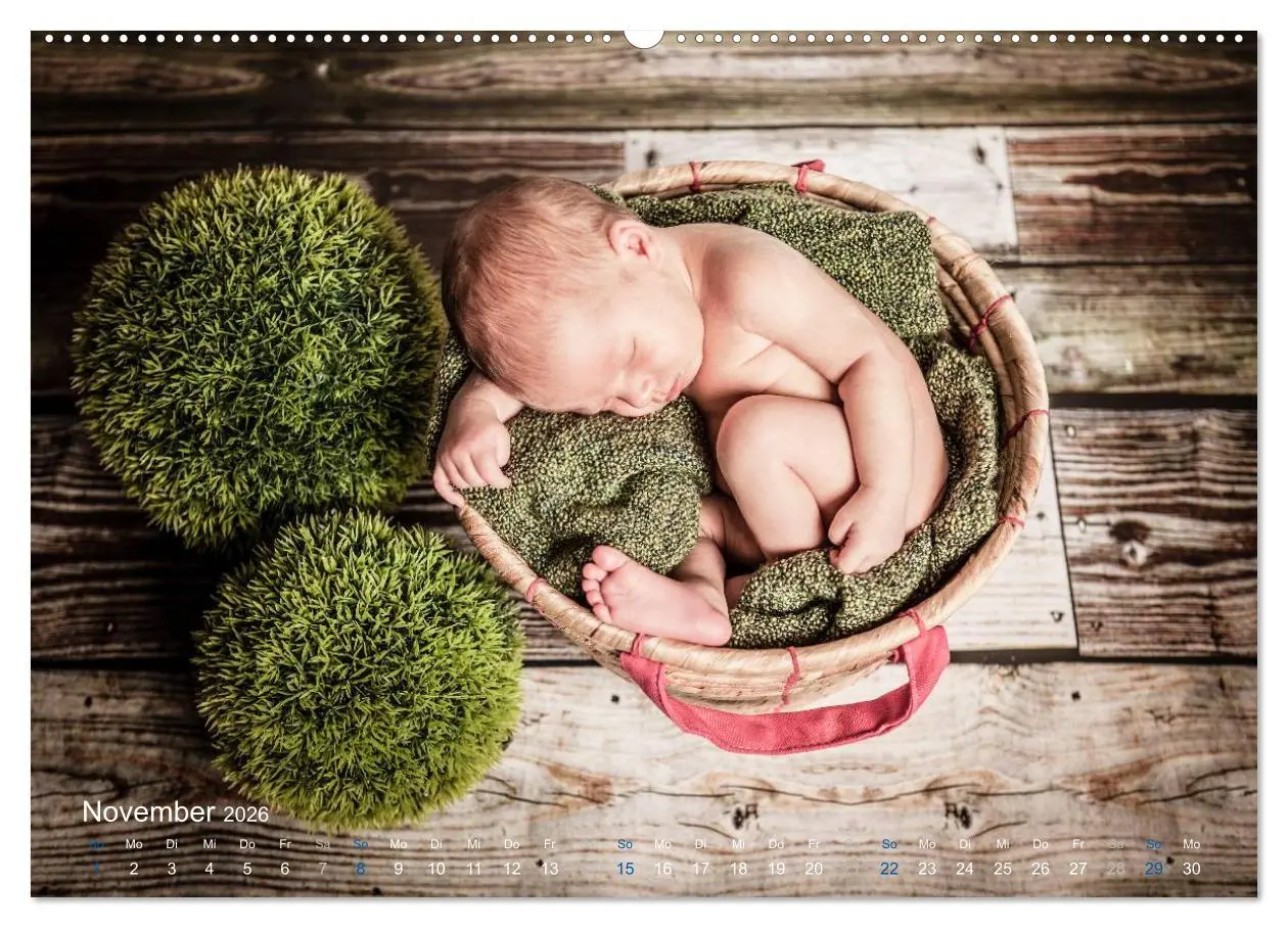 Bild: 9783516089004 | Baby - süße Träume (Wandkalender 2026 DIN A2 quer), CALVENDO...