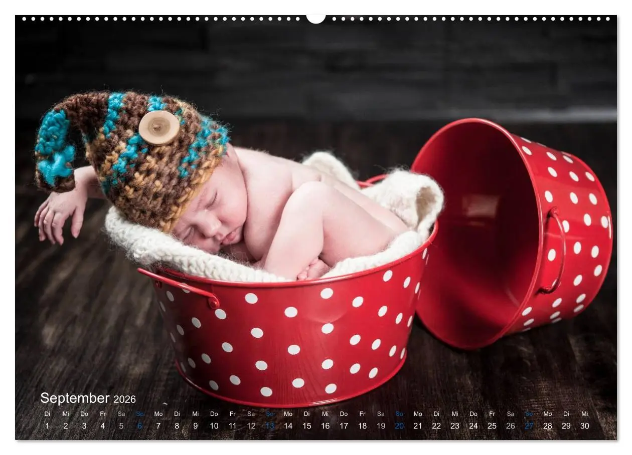 Bild: 9783516089004 | Baby - süße Träume (Wandkalender 2026 DIN A2 quer), CALVENDO...